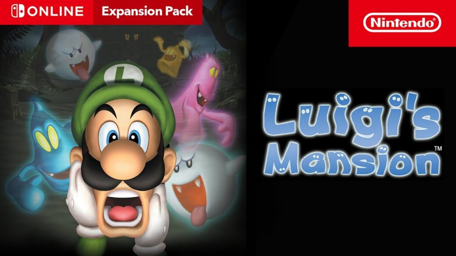Luigi Mansion