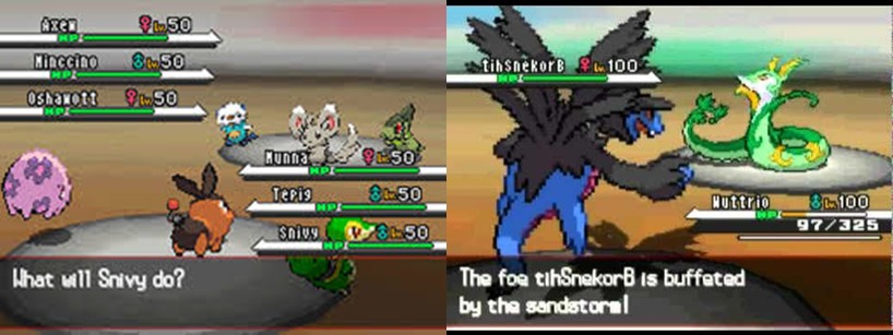 Pokemon Black & White
